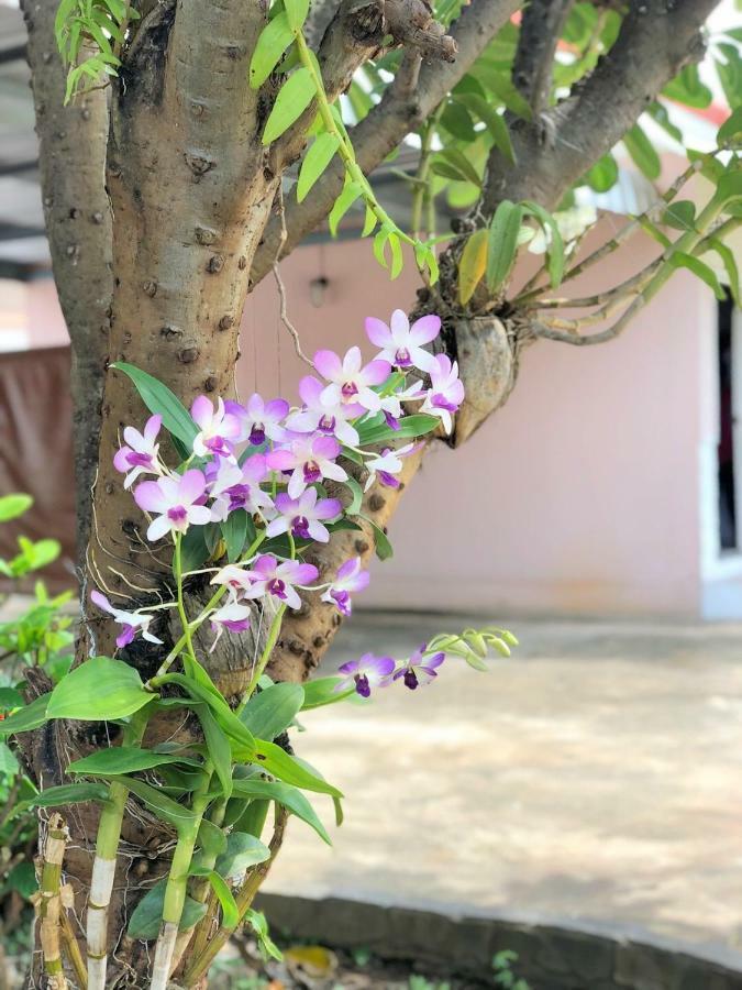 Soda Resort Kamphaeng Phet Exterior foto